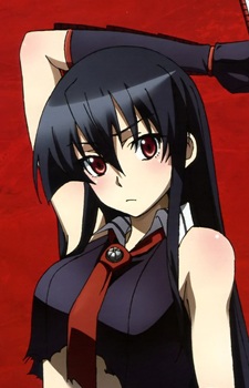 Akame Character