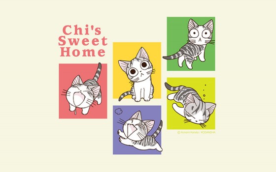 Chi’s Sweet Home Atarashii Ouchi  wallpaper