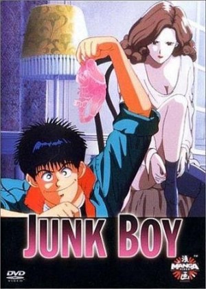 Junk Boy dvd
