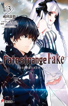 Fate. Strange Fake Light Novel