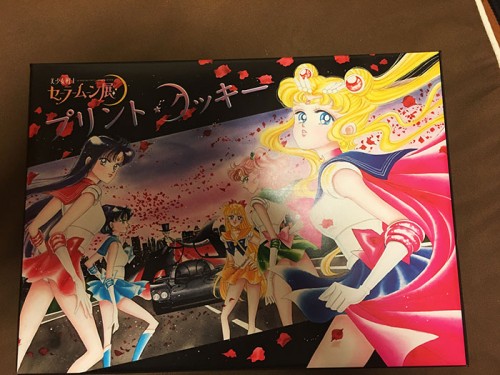 image2 AHS Sailor Moon Exhibit