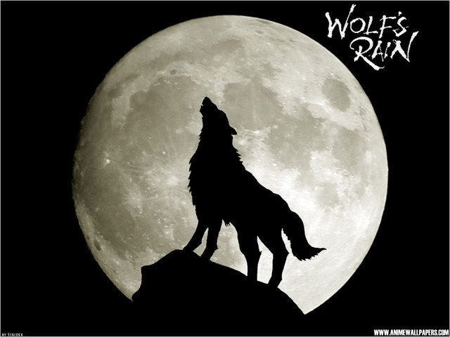 wolfs-rain-wallpaper