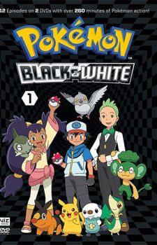 Pokemon Black and White dvd