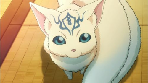 Cardcaptor-Sakura-Clear-Card-crunchyroll-3 Top 10 Impossible Pets in Anime You Wish You Could Have [Updated]