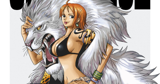 one-piece-log-collection-nami-dvd-landscape-560x294 Top 5 Manga Characters Guys Fall For [Japan Poll]