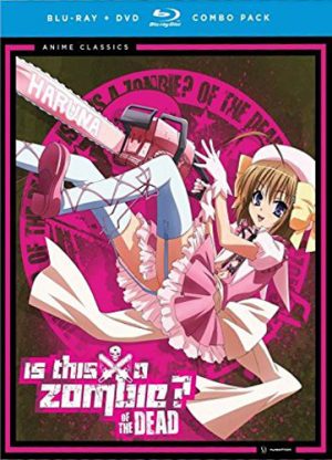 Highschool-of-the-Dead-dvd-20160718201706-300x419 6 Anime Like Highschool of the Dead [Updated Recommendations]