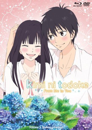 Wallpaper-Kimi-ni-Todoke-499x500 Top 10 Shoujo Romance Anime [Updated Best Recommendations]