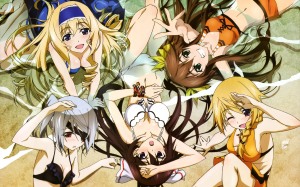 infinite-stratos-wallpaper-500x500 So Many Girls! So Little Time! Top 5 Anime Swimsuit Scenes for Men [Updated Recommendations]