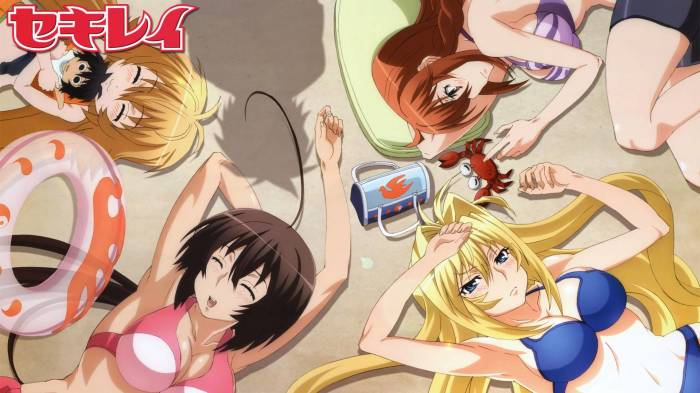 Anime Like Highschool Dxd And Sekirei