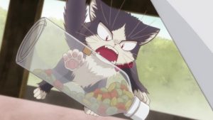 Doukyonin-wa-Hiza-Tokidoki-Atama-no-Ue-My-Roomate-is-a-Cat-300x450 Iyashikei Slice of Life Anime Doukyonin wa Hiza, Tokidoki, Atama no Ue Reveals Three Episode Impression!