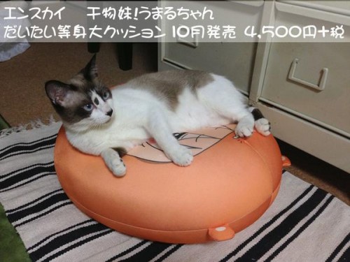 umaru-cushion1-500x375 These Umaru-chan Cushion Pics Are the Best!