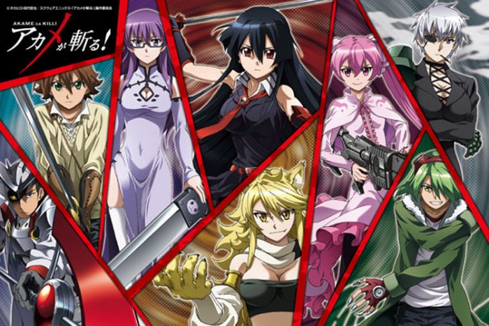 akame-ga-kill-wallpaper-700x467 Los 10 mejores animes de asesinos