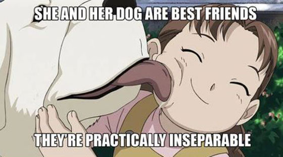 653074 Top 10 Funny Anime Memes [Best Recommendations]