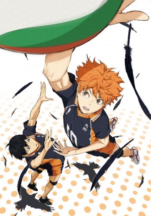 Haikyuu-dvd-300x428 6 Anime Like Haikyuu!! [Recommendations]