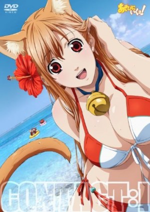 Top 10 Anime Cat Girls