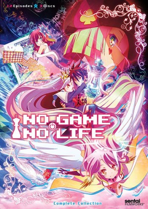 Netoge-no-Yome-wa-Onnanoko-ja-Nai-to-Omotta-dvd-300x462 6 animes parecidos a Netoge no Yome wa Onnanoko ja Nai to  Omotta?