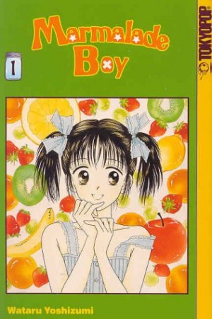 Hana-Yori-Dango-dvd-300x427 6 Anime Like Hana Yori Dango (Boys Over Flowers) [Recommendations]