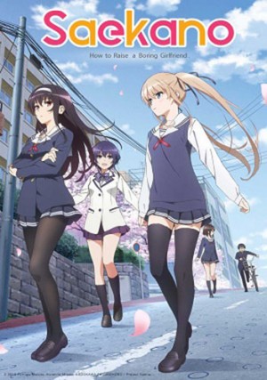 Saenai-Heroine-no-Sodatekata-dvd-300x427 6 Anime Like Saenai Heroine no Sodatekata (Saekano) [Recommendations]