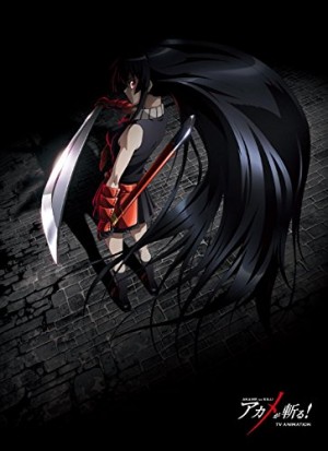 akame-ga-kill-capture-wallpaper Top 10 Cliffhanger Anime [Best Recommendations]