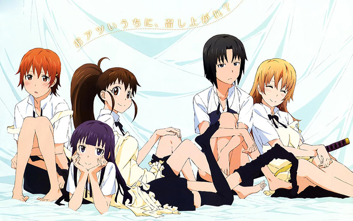 Working-dvd-300x392 6 Anime Like Working!! (Wagnaria!!) [Recommendations]