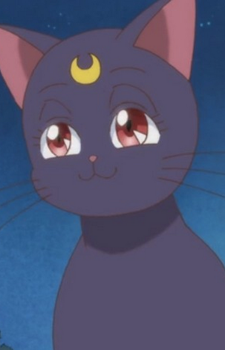 My-Neighbour-Totoro-Soundtracks Los 10 gatos más destacados del anime