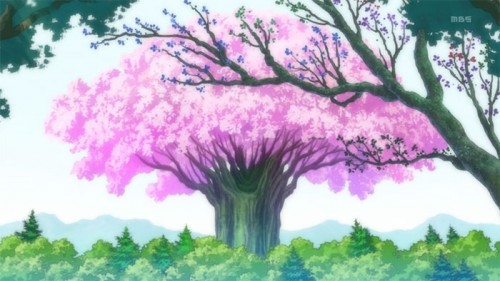 Tonari-no-Totoro-My-Neighbor-Totoro-wallpaper-697x500 Top 10 Impressive Forest Scenes in Anime