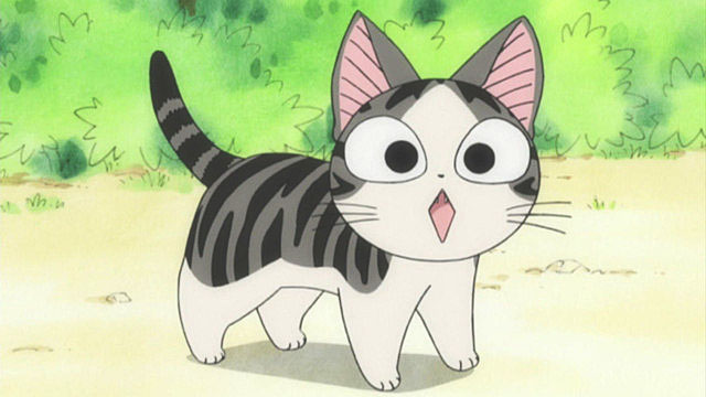 Top 10 Cat Anime [Best Recommendations]