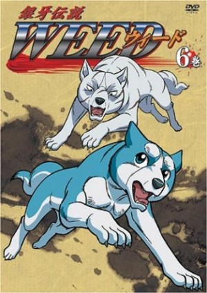Wolf’s-Rain-dvd-300x426 6 animes parecidos a Wolf's Rain