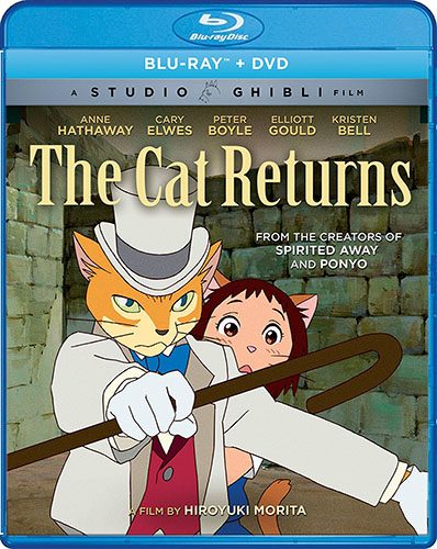 Chi’s-Sweet-Home-Wallpaper Top 10 Cat Anime [Updated Best Recommendations]