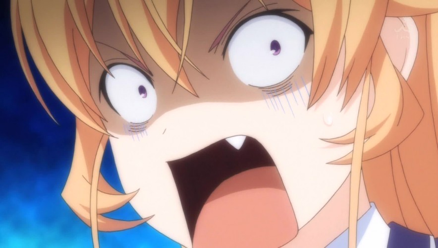 Shokugeki no Soma's Erina Gets a Different Seiyuu?!