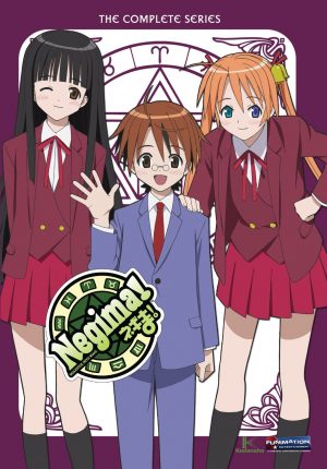 love-hina-DVD-300x422 6 Animes parecidos a Love Hina
