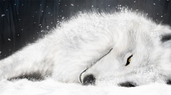 wolfs-rain-wallpaper Top 5 Werewolf Anime [Best Recommendations]