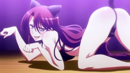 High-School-of-the-Dead-Wallpaper-700x496 Top 10 Anime Girls in Lingerie