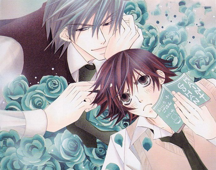 6 Anime Like Junjou Romantica (Pure Romance) [Recommendations]