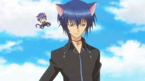 Top 10 Anime Cat Boy [Best List]