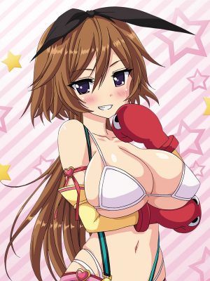 Kamui-Cosplay-Wallpaper-1-500x333 Top 10 Harem Hentai Anime [Melhores recomendações]