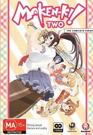 Hyakka-Ryouran-Samurai-Girls-Wallpaper-700x394 Los 10 animes con mas fanservice