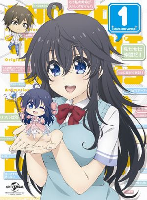 Kono-Bijutsubu-ni-wa-Mondai-ga-Aru-dvd-20160819145404-300x421 6 Anime Like Kono Bijutsubu ni wa Mondai ga Aru! [Recommendations]