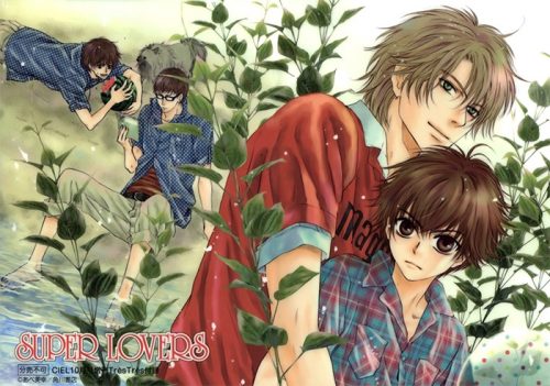 Top 10 Adorable Super Lovers Characters [Best List]