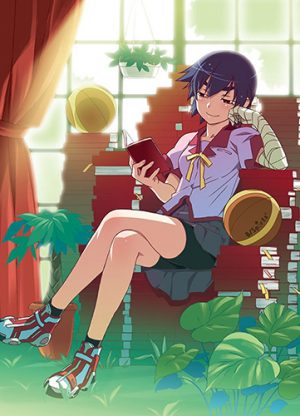 bakemonogatari-wallpaper-1-496x500 Top 10 Anime Adaptations of Light Novels [Best Recommendations]