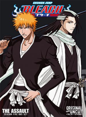 Arjuna-dvd-300x424 Top 5 Best Anime by Hoshi-kun (Honey's Anime Writer)