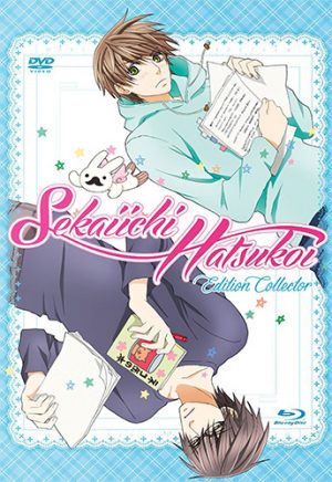 Junjou-Romantica-dvd-300x423 6 Anime Like Junjou Romantica (Pure Romance) [Updated Recommendations]