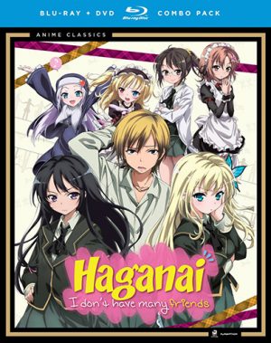 Bokutachi-wa-Benkyou-ga-Dekinai-Wallpaper-8-700x368 Top 10 Best Harem Anime of the 2010s [Best Recommendations]