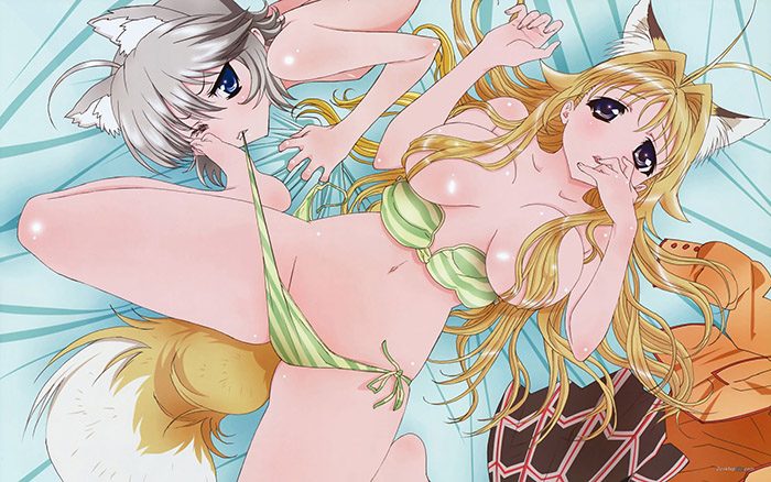Chizuru-Minamoto-Kanokon-wallpaper-700x438 Las 10 chicas más Ecchi del anime
