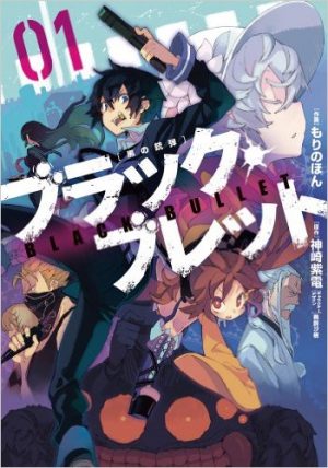 Black-Bullet-wallpaper Top 10 Seinen Light Novels [Best Recommendations]