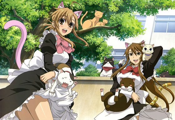 Nyan-Koi-dvd-1-300x364 6 Anime Like Nyan Koi [Recommendations]