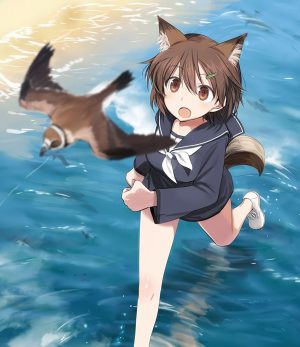Brave Witches DVD/Blu-Ray Release Delayed