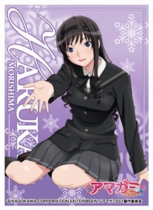 hitagi-senjougahara-bakemonogatari-wallpaper-700x500 Las 10 mejores chicas de anime como tu pareja de San Valentín♥