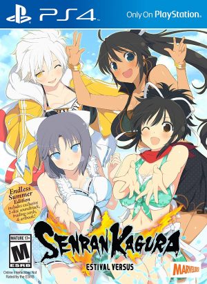 Senran Kagura Estival Versus - Steam/PC Review