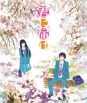 Figure-17-Tsubasa-Hikaru-Wallpaper-498x500 Top 10 Anime Set in Hokkaido [Best Recommendations]